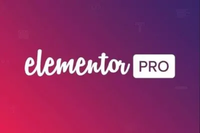 Elementor pro
